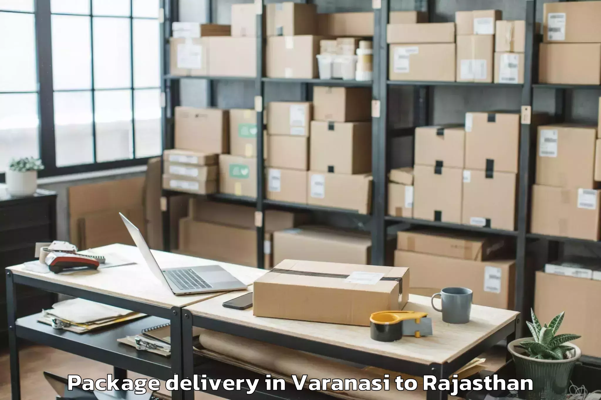 Book Varanasi to Raffles University Neemrana Package Delivery Online